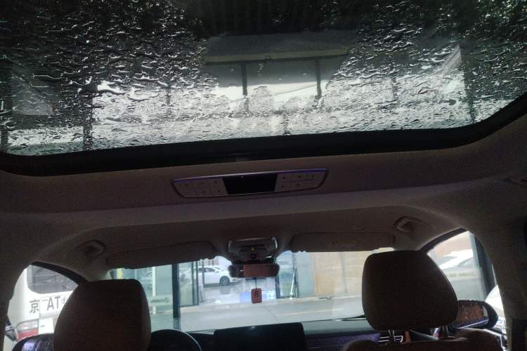 Used Hongqi HQ9 2024 2.0T Business Edition