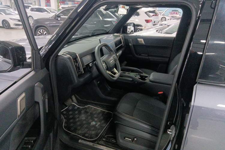 Used  03T 2024 520km Two-Wheel Drive Long-Range Version