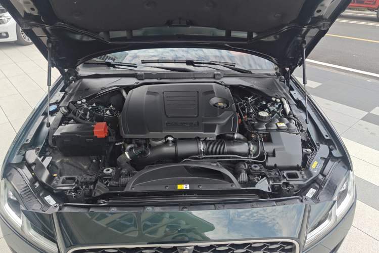 Used Jaguar XFL 2023 XFL 2.0T P250 Two-Wheel-Drive Elite Sport Edition
