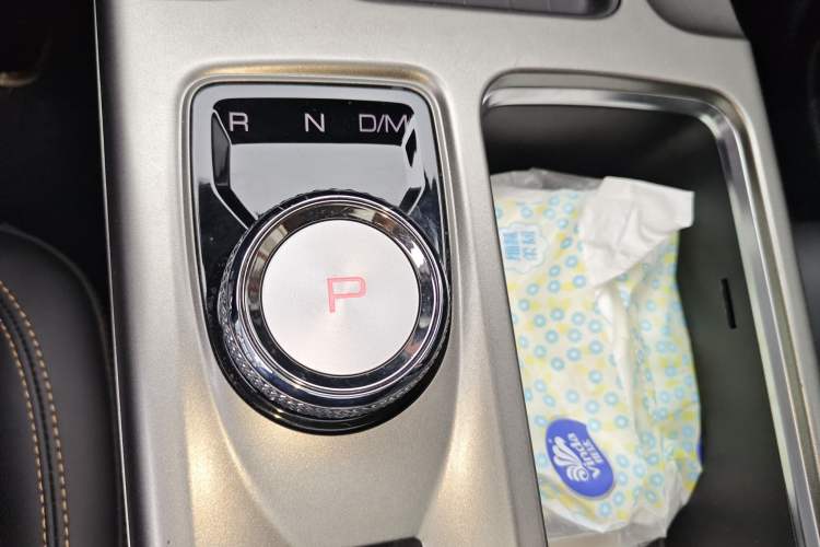 Used Haval DARGO 2024 2.0T DCT Chinese Rural Dog Edition
