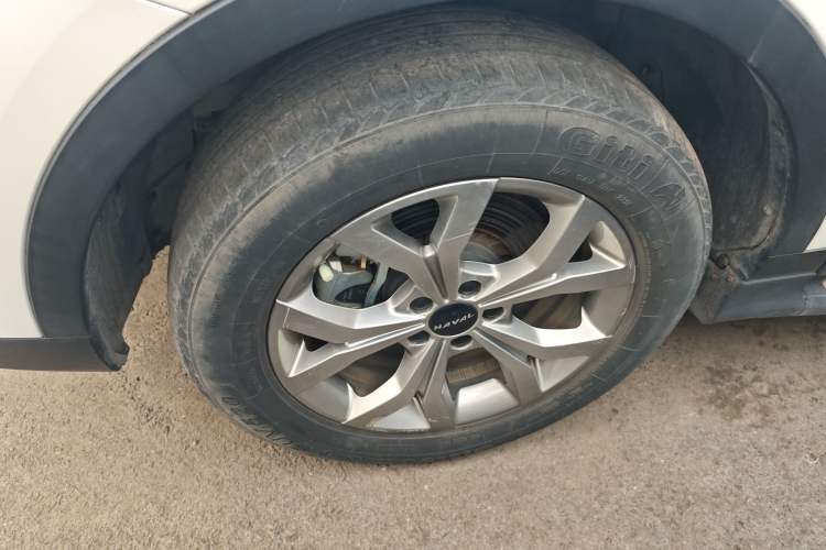 Used Haval H6 2021 China Trend Edition 1.5 GDIT Automatic Champion Version