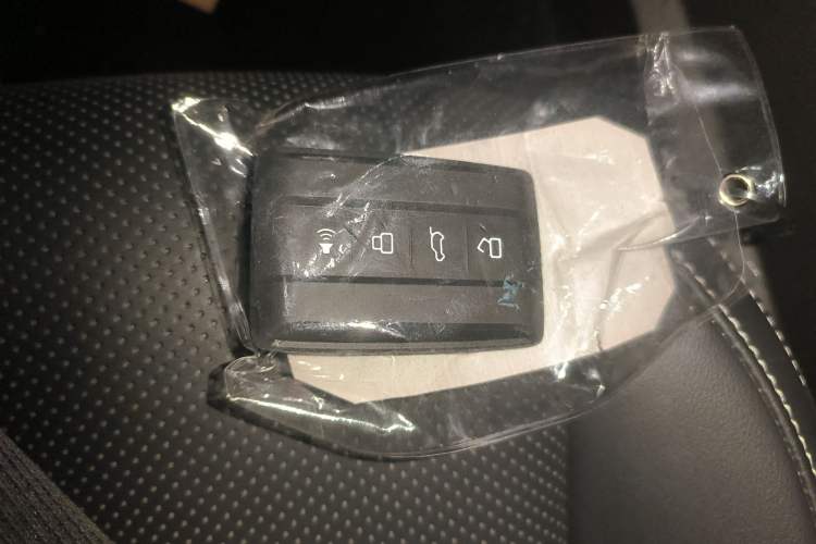 Used Tank 300 2023 Off-Road Edition 2.0T Conqueror
