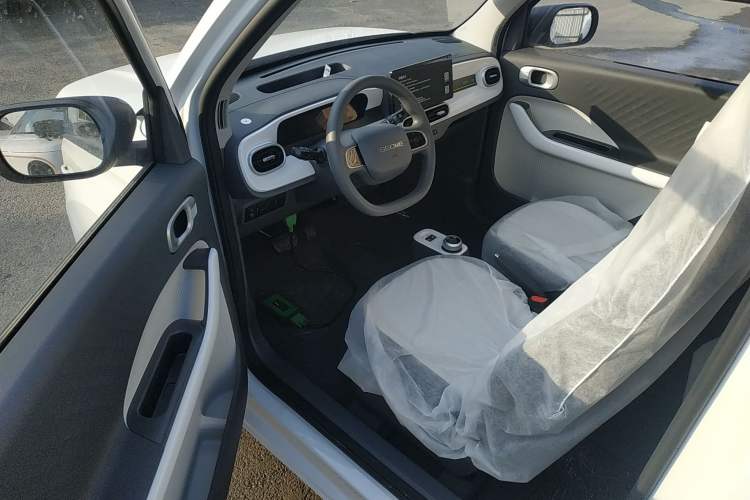 Used  Panda 2025 210 km – Yuanqi Bear
