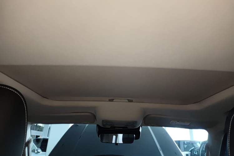 Used Tank 300 2024 2.0T Conqueror
