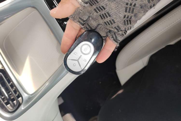 Used  Geome 2025 310km Dream Edition