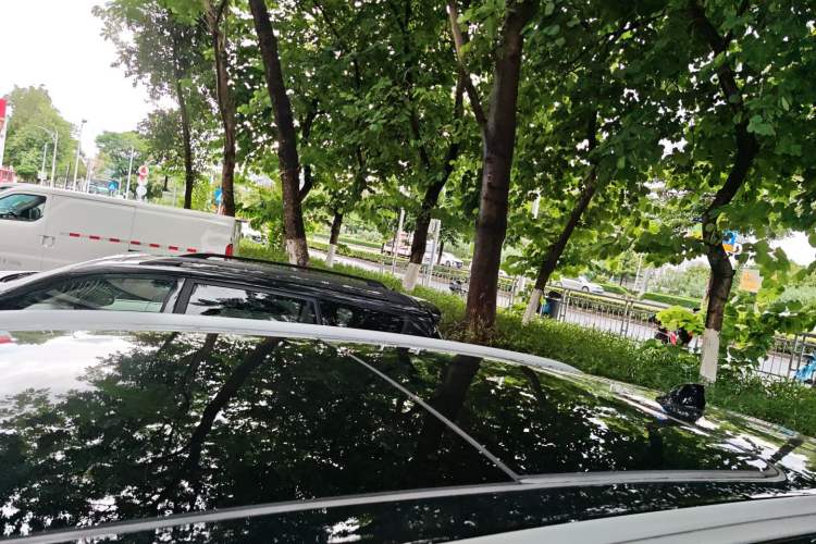 Used Haval H6 2022 3rd Generation 1.5T Automatic Two-Wheel Drive Pro
