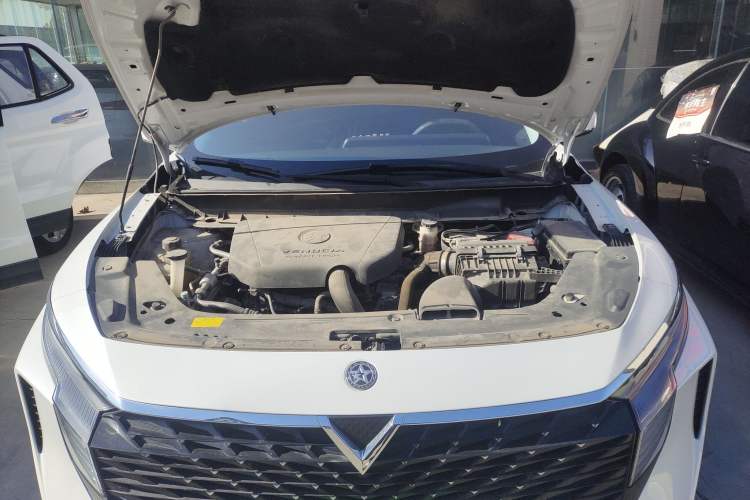 Used Venucia V 2021 260T Idol Edition