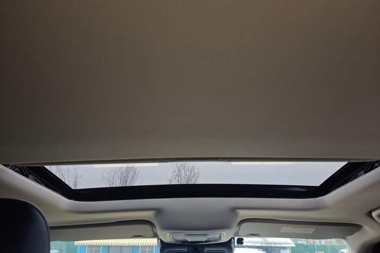 Used Tank 300 2023 Off-Road Edition 2.0T Conqueror