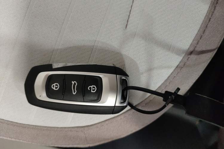 Used  Panda 2025 210 km – Yuanqi Bear
