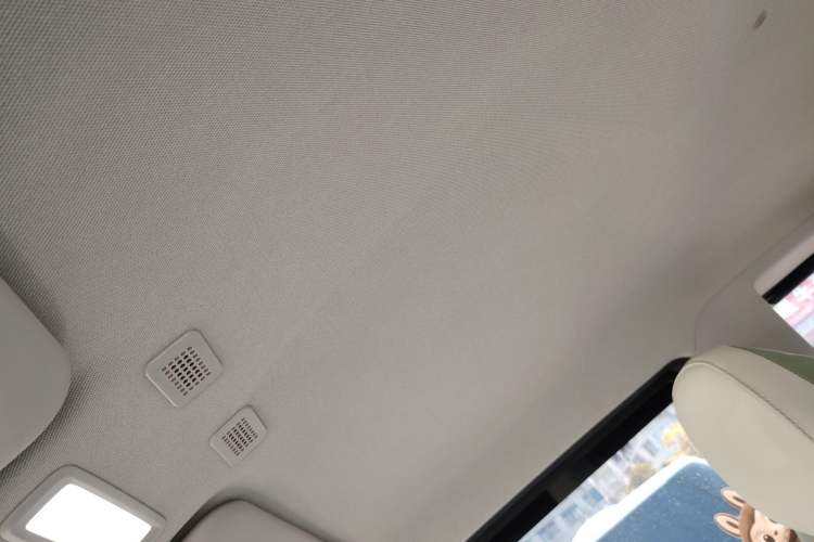 Used  Panda 2025 210km Panda Rider