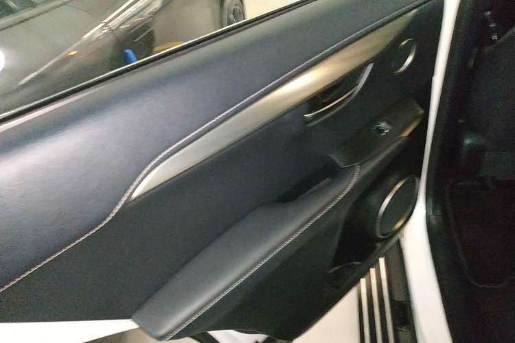 Used Lexus NX 2020 300h Front-Drive FENGSHANG Version China VI Standard
