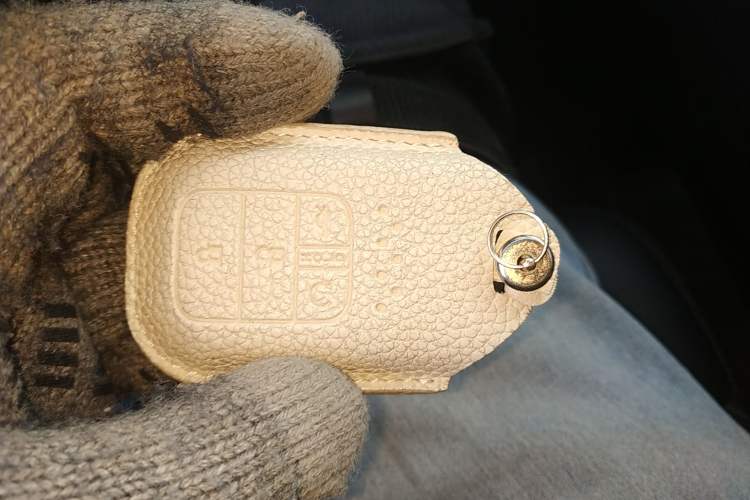 Used Honda Elysion 2019 2.0L Hybrid Supreme Edition
