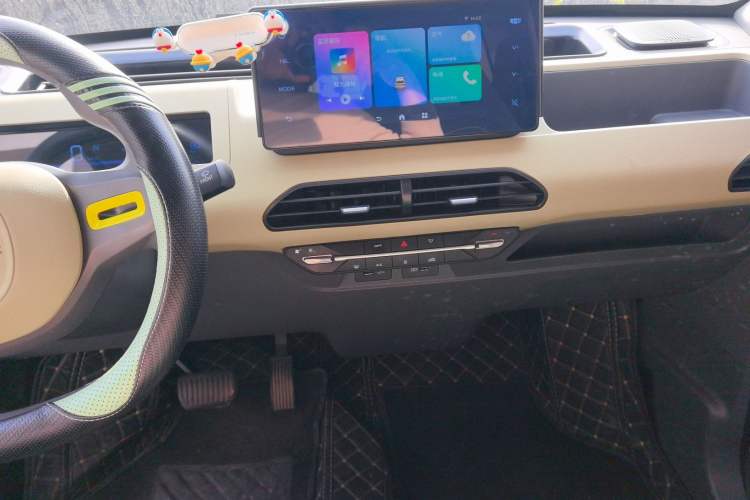 Used  Panda 2024 200km Panda Rider