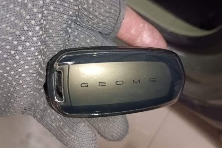 Used  Panda 2025 210km Panda Rider
