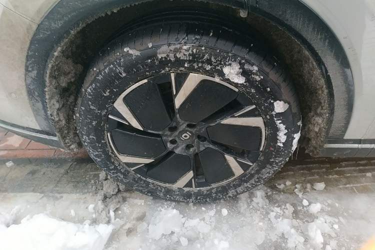 Used  Q07 2025 145 Prestige Edition