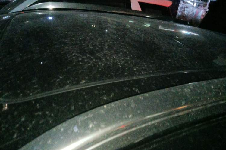 Used Lincoln MKX 2017 2.0T Four-Wheel Drive Zunya Edition