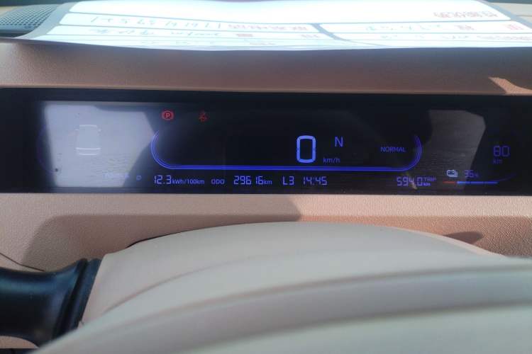 Used  Panda 2024 Panda Mini 200km Endurance Bear