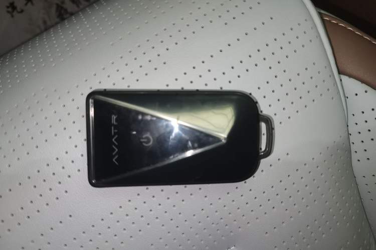 Used  07 2024 Max Extended-Range Edition