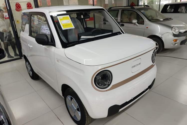 Used  Panda 2024 Panda Mini 200km Longteng PRO Edition
