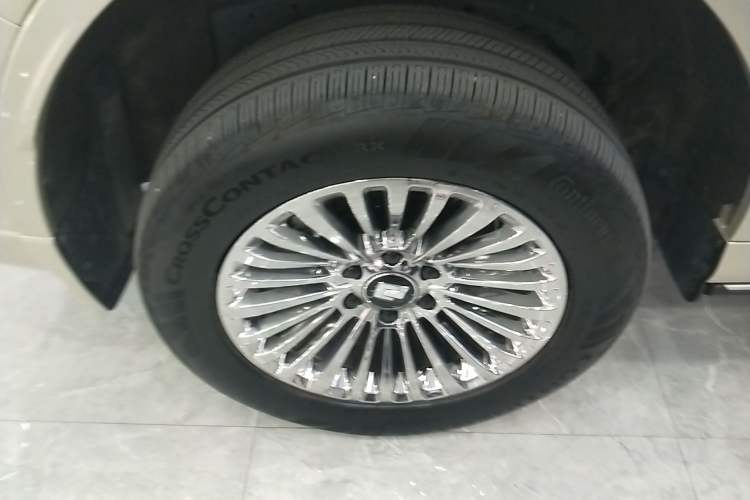 Used Tank 500 New Energy 2024 Hi4-T
