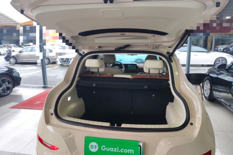 Used ORA Good Cat 2022 Morandi Edition 400km Standard Range Premium Version Lithium Iron Phosphate
