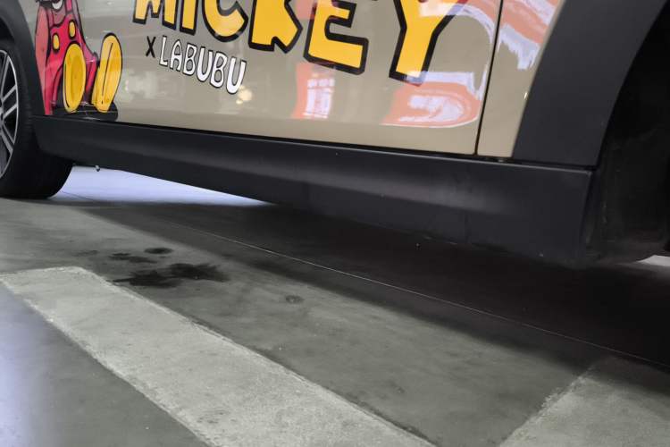 Used  MINI 2023 2.0T COOPER S Artist