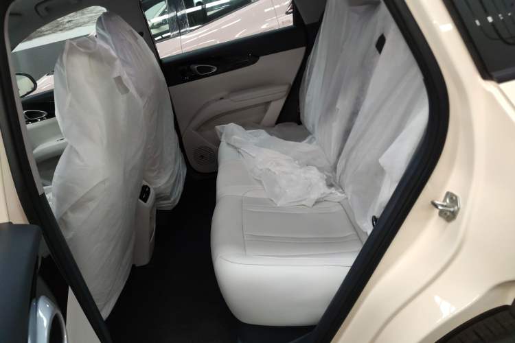 Used  Geome 2025 310km Dream Edition