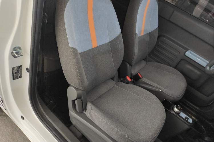 Used  Panda 2024 Panda Mini 200km Endurance Bear
