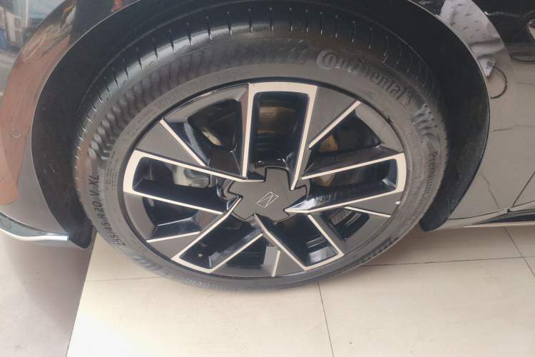 Used  06 2025 Max Extended-Range Edition
