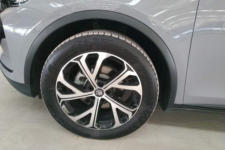 Used BYD Tang New Energy 2025 DM-i 115KM Prestige Model