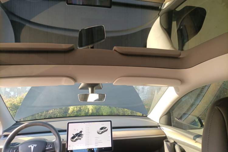 Used Tesla Model Y 2021 Standard Range Rear-Wheel Drive Version
