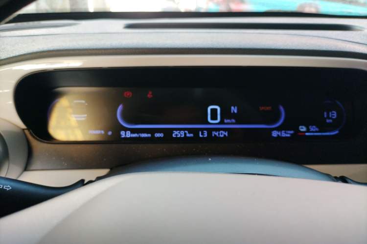 Used  Panda 2025 210km Panda Kart