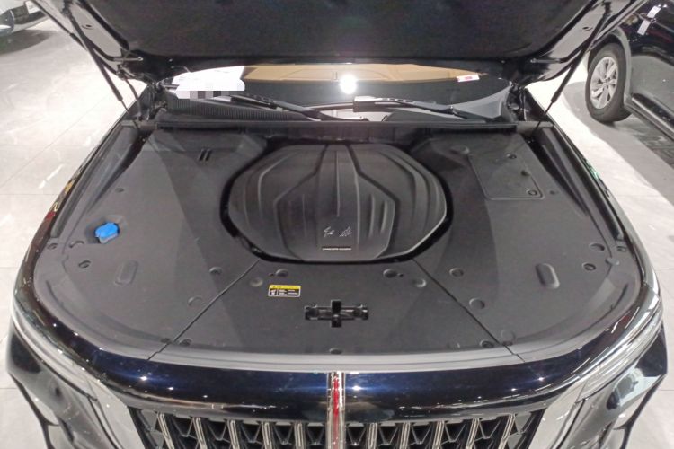 Used Hongqi H9 2024 2.0T Qichang Private Enjoyment Luxury Edition
