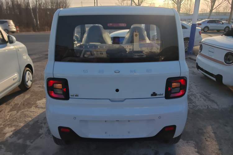 Used  Panda 2024 Panda Mini 200km Endurance Bear