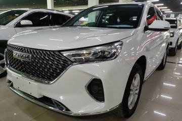 Used Haval M6 2021 PLUS 1.5T Manual Elite Smart Connectivity Model
