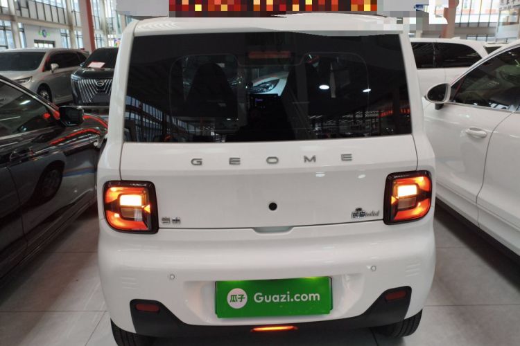 Used  Panda 2023 Panda Mini 200km Endurance Bear