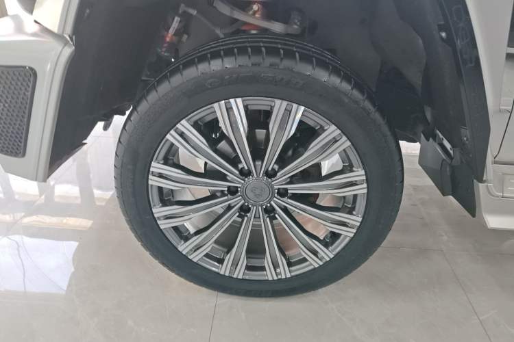 Used  Tank 300 2021 2.0T Cyber Tank
