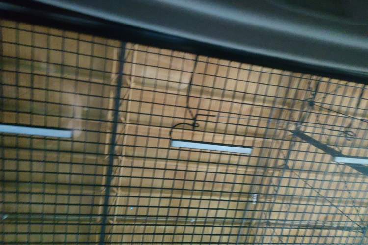 Used Toyota Prado 2018 3.5L Automatic VX NAVI with Rear-Mounted Spare Tire
