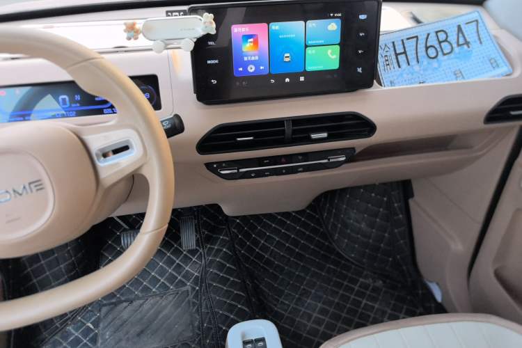 Used  Panda 2023 Panda Mini 200km Endurance Bear
