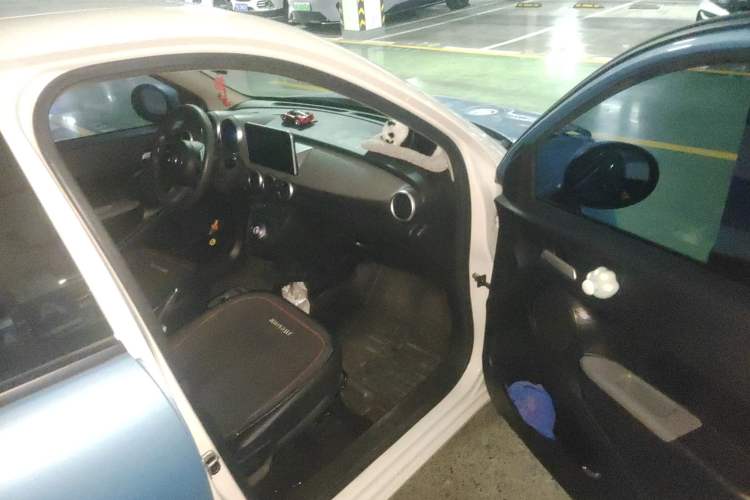 Used ORA Black Cat 2021 351 km Standard Version
