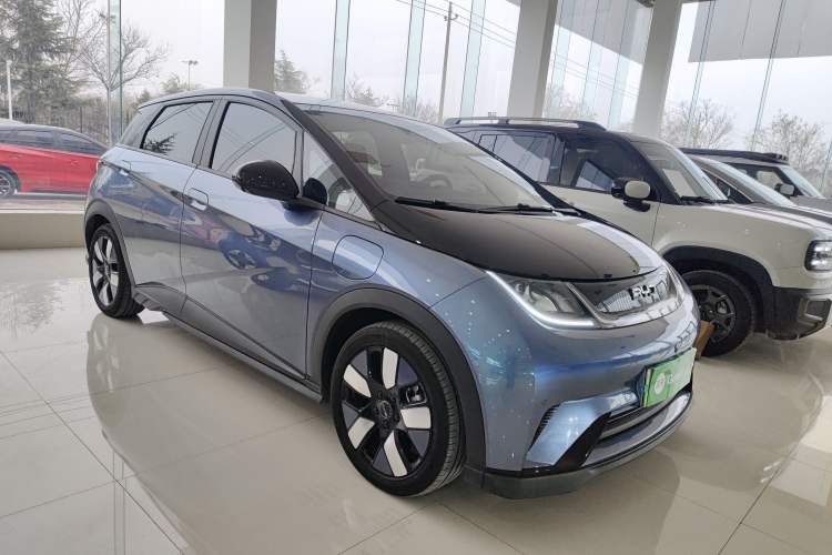 Used BYD Dolphin 2025 520km Range Knight Edition
