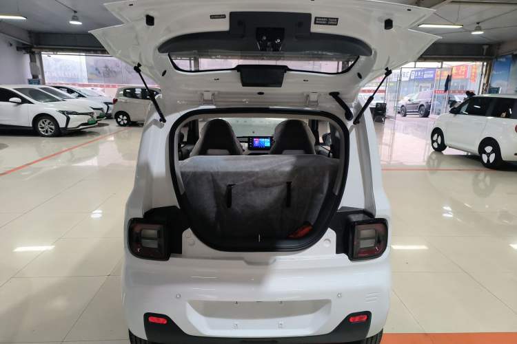 Used  Panda 2024 Panda Mini 200km Endurance Bear
