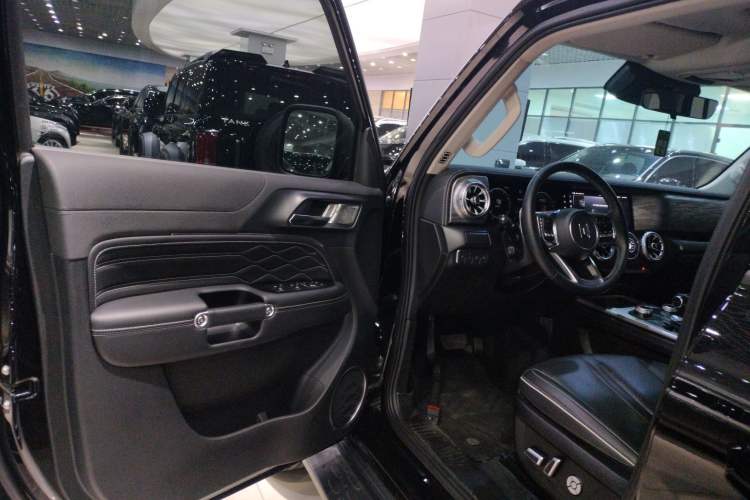 Used Tank 300 2024 2.0T Conqueror
