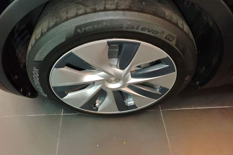 Used Tesla Model Y 2021 Standard Range Rear-Wheel Drive Version
