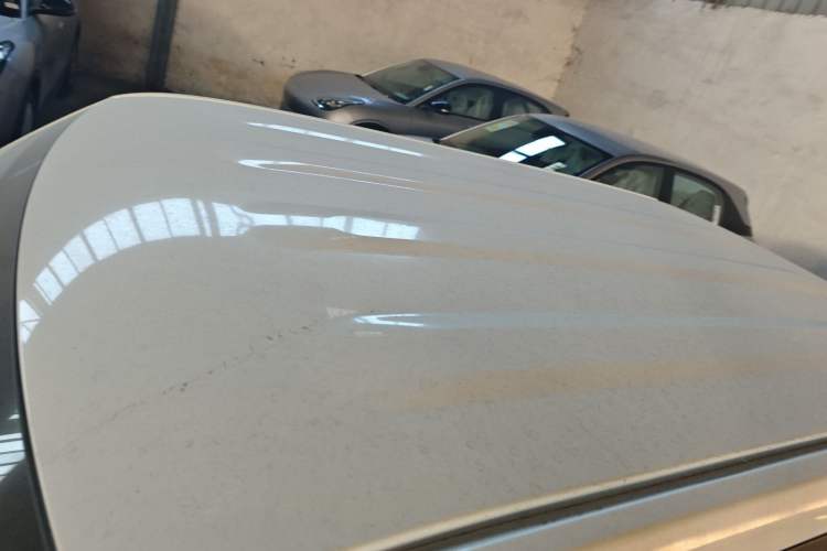 Used  Panda 2024 Panda Mini 200km Endurance Bear