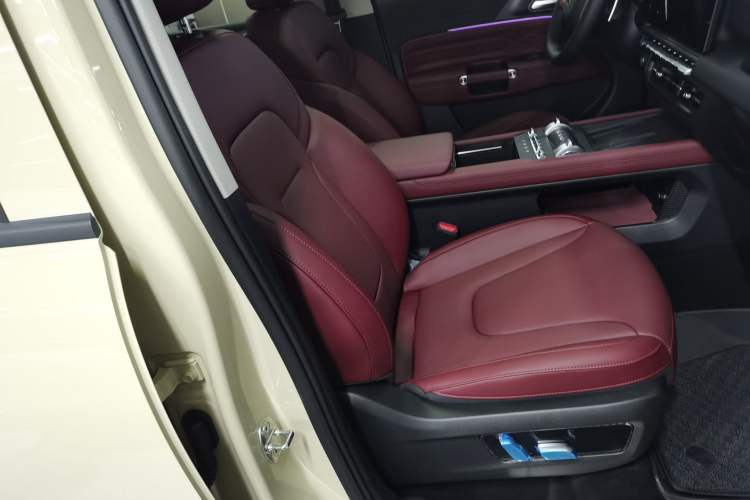 Used Tank 300 2025 2.0T Conqueror