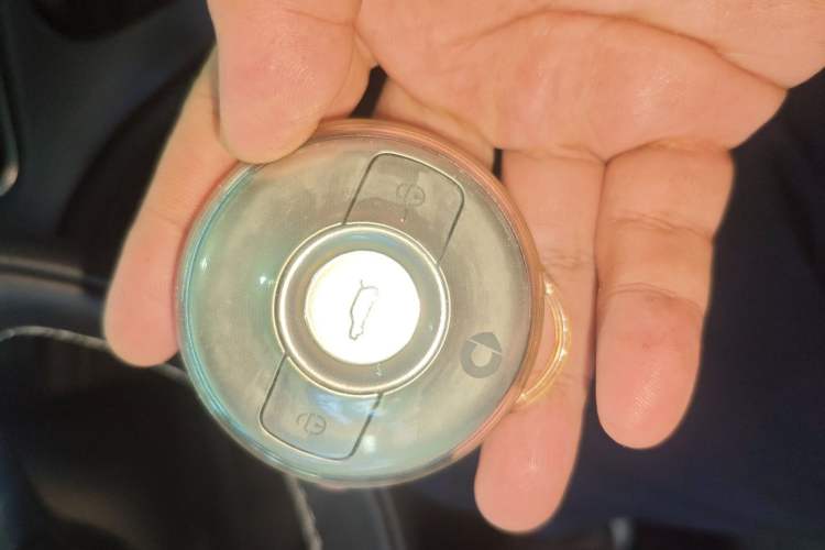 Used  #1 2023 Pro Edition