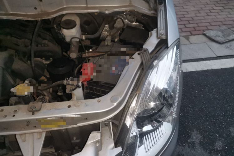 Used Foton MP-X E 2017 2.0L Commercial Version Standard Long-Wheelbase 4G63
