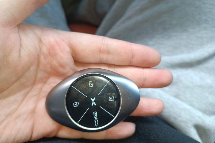 Used XPeng P7 2020 Rear-Drive Long-Range Smart Drive Version
