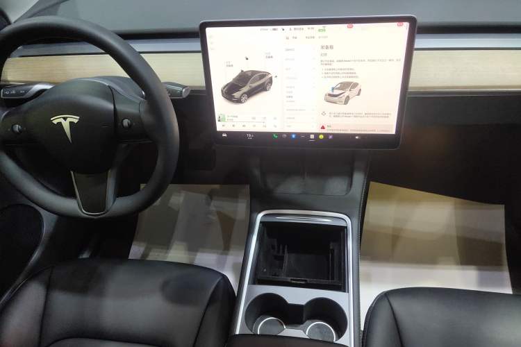 Used Tesla Model Y 2021 Standard Range Rear-Wheel Drive Version
